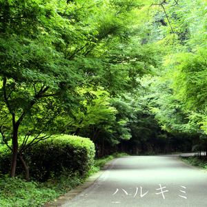 久草手机福利在线观看
